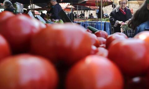 Ρεπορτάζ Newsbomb.gr: Ντομάτες από... χρυσάφι - «Είμαστε χειρότερα και από το μνημόνιο»