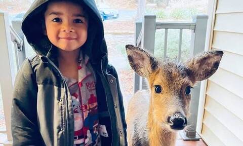 ΗΠΑ: Τετραχρονο αγόρι έφερε στο σπίτι του το ελαφάκι που βρήκε στο δάσος