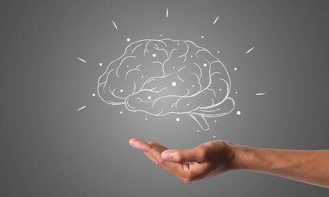 Έρευνα: Πότε πέφτουν οι «στροφές» του εγκεφάλου