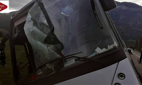 Φωκίδα: Τουριστικό λεωφορείο έπεσε σε κολώνα της ΔΕΗ - Μία τραυματίας