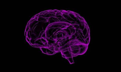 Ανακαλύφθηκαν «νευρώνες του τραγουδιού» στον ανθρώπινο εγκέφαλο