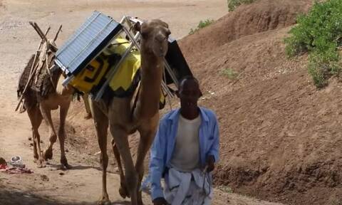 «Ηλιακές καμήλες-βιβλιοθήκες» κουβαλούν τάμπλετ με ebooks για τα παιδιά της Αιθιοπίας