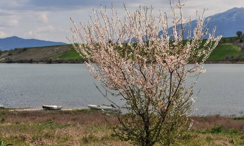 Κοζάνη: Νεκρός εντοπίστηκε στη λίμνη Πολυφύτου ο 55χρονος αγνοούμενος