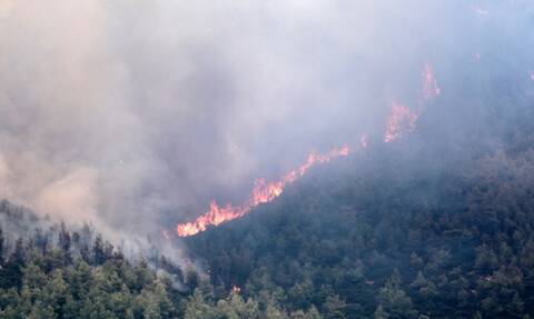 Φωτιά στην Ηλεία: Προληπτική εκκένωση χωριού
