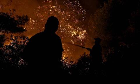 Φωτιά τώρα: Στις φλόγες δασική έκταση στην Αρήνη Ηλείας