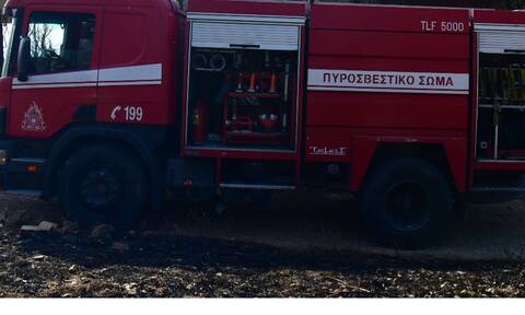 Φωτιά τώρα στη Χαλκιδική - Δήμαρχος Κασσανδρείας: «Δεν ήταν αγρότες αυτοί που προκάλεσαν τη φωτιά»