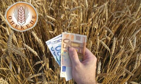 Αγροτικές επιδοτήσεις: Μεγάλη πληρωμή 104 εκατ. ευρώ σε συνδεδεμένες ενισχύσεις - Οι δικαιούχοι