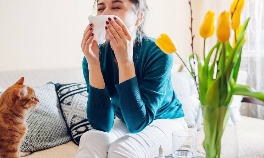 Αλλεργίες: Πώς μπορείτε να τις θεραπεύσετε και να σταματήσετε να φτερνίζεστε;