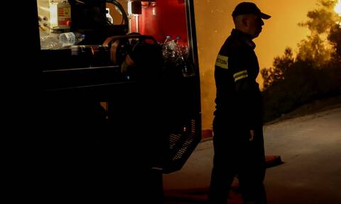 Φωτιά τώρα: Μεγάλη πυρκαγιά στη Λακωνία - Σπεύδουν ενισχύσεις και από την Αθήνα
