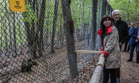 Νυμφαίο: Το Καταφύγιο Αρκούδων του «Αρκτούρου» επισκέφθηκε η Κατερίνα Σακελλαροπούλου