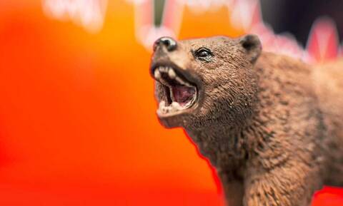 Οι «αρκούδες» κάνουν βόλτες στις αγορές – Οι εφιαλτικές προβλέψεις και οι φόβοι των «γκουρού»