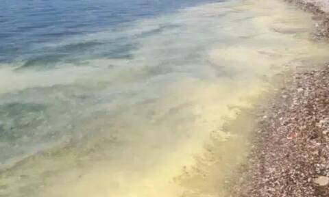 Πάτρα: Κιτρίνισε η θάλασσα - Ανησύχησαν οι κάτοικοι