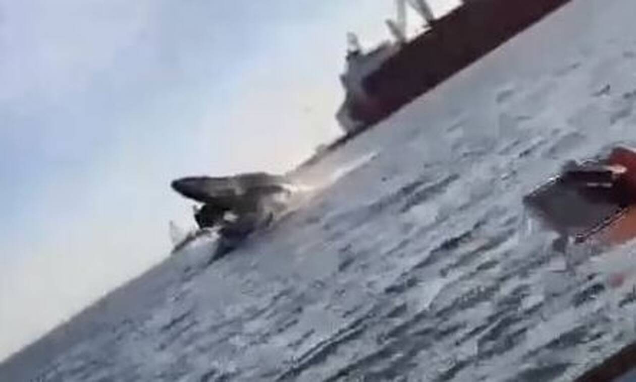 Τρομακτικό ατύχημα στο Μεξικό: Φάλαινα «τσάκισε» σκάφος με τέσσερις επιβάτες