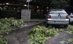 Κακοκαιρία: Προβλήματα στους συρμούς του ΗΣΑΠ λόγω πτώσης δέντρων