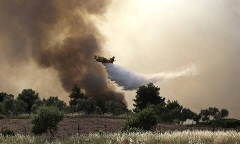 Φωτιά τώρα στα Γεράνεια Όρη πάνω από το Λουτράκι: Ενίσχυση δυνάμεων, επιχειρούν  71 πυροσβέστες