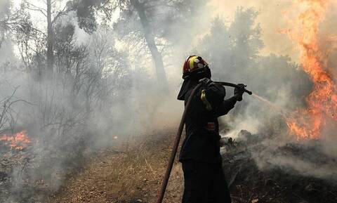 Πυρκαγιές: Κερδισμένες μάχες για την πυροσβεστική σε Λουτράκι, Κάστρο και Αξιούπολη