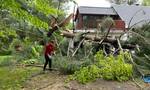 Φονική καταιγίδα στον Καναδά: Οκτώ νεκροί και 300.000 νοικοκυριά χωρίς ρεύμα
