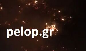 Πάτρα – Αρόη: Μεγάλη φωτιά «έγλειψε» πολυκατοικίες – Τέθηκε υπό έλεγχο αφού έσπειρε πανικό