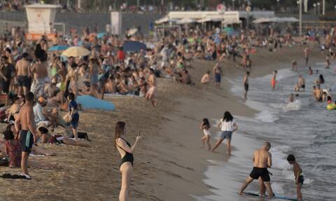 Ισπανία: Αγριογούρουνο δάγκωσε γυναίκα που έκανε ηλιοθεραπεία σε παραλία