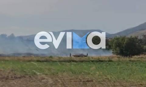 Εύβοια: Φωτιά στον Αετό Καρύστου