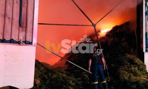 Βοιωτία: Μεγάλη φωτιά σε αποθήκη ζωοτροφών στην Αλίαρτο (pics+vid)