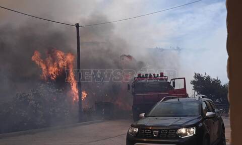 Έρευνα Prorata και Newsbomb.gr για τις φωτιές: 54% φταίει το κράτος, 26% φταίνε οι πολίτες