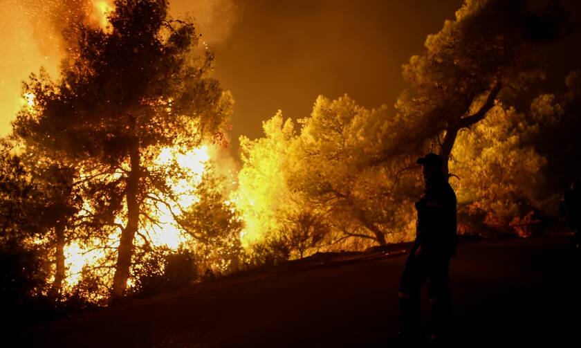 Φωτιά τώρα: Νύχτα αγωνίας στην Εύβοια - Μάχη με τις φλόγες και τους ανέμους
