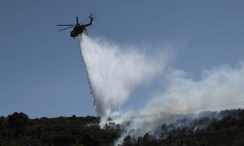 Υπό μερικό έλεγχο η πυρκαγιά στην Βουνιχώρα Φωκίδας