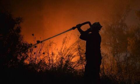 Φωτιά στη Χαλκιδική: Υπό μερικό έλεγχο η πυρκαγιά κοντά στην περιοχή Μόλες Καλύβες