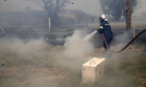 Φωτιά στα Σπάτα: Συναγερμός από πυρκαγιά στα όρια του Ζωολογικού Πάρκου