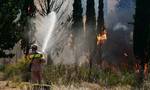 Φωτιά τώρα: Μαίνεται η πυρκαγιά στο Άγιον Όρος