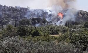 Φωτιά στο Αλιβέρι Ευβοίας: Μάχη των πυροσβεστών με τις φλόγες - Εναέρια μέσα για την κατάσβεση
