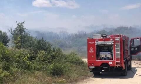 Φωτιά σε εξέλιξη στη Ροδόπη: Επιχειρούν 33 πυροσβέστες και 2 αεροσκάφη