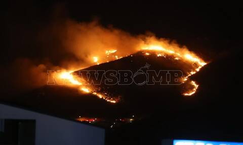 Φωτιές στην Αττική: Οριοθετήθηκε η πυρκαγιά στο Σχιστό - Νέος συναγερμός στον Ασπρόπυργο