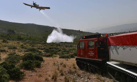 Πυροσβεστικό Σώμα: Περισσότερες από 1.800 δασικές πυρκαγιές από την έναρξη της αντιπυρικής περιόδου