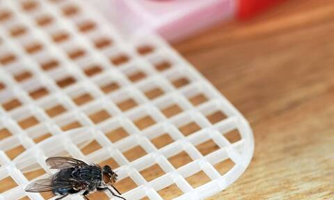 Το κόλπο με το κερί και άλλοι οικολογικοί τρόποι για να διώξετε τις μύγες από το σπίτι
