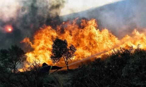 Η κλιματική αλλαγή θα αυξήσει τα επόμενα χρόνια τις δασικές πυρκαγιές παγκοσμίως, ιδίως στη Μεσόγειο