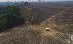 Βραζιλία: Ρεκόρ έσπασε το πρώτο 6μηνο του 2022 η αποψίλωση του δάσους του Αμαζονίου