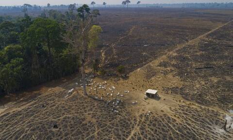 Βραζιλία: Ρεκόρ έσπασε το πρώτο 6μηνο του 2022 η αποψίλωση του δάσους του Αμαζονίου