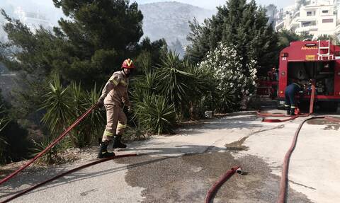 Άργος: Πυροσβέστες πήγαν να σβήσουν τις φωτιές και τους έκλεψαν τα κράνη