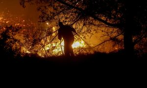 Φωτιά τώρα: Ολονύκτια μάχη της Πυροσβεστικής με την πυρκαγιά στην Ηλεία