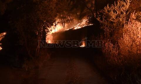 Φωτιά: Ολονύχτια η «μάχη με το θηρίο» στη Φωκίδα - Το Newsbomb.gr στο μέτωπο της Ιτέας