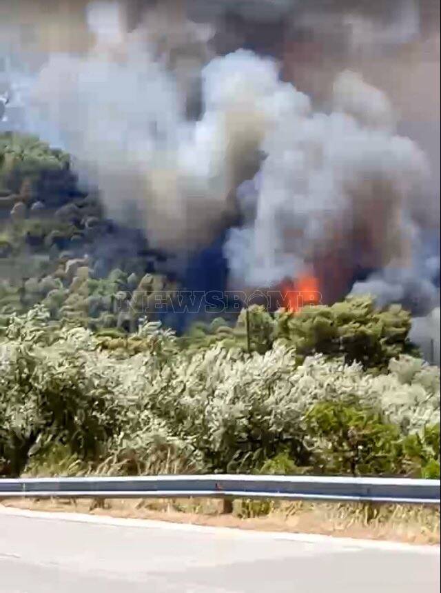 Συναγερμός στην Πυροσβεστική: Φωτιά τώρα στο Πόρτο Γερμενό - ΕΛΛΑΔΑ