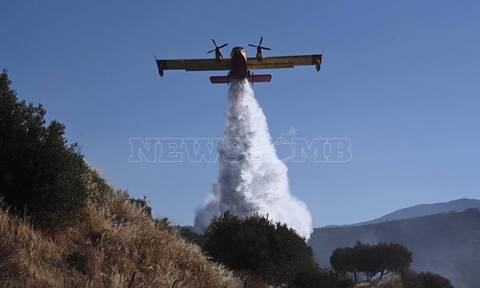 Φωτιά στην Άμφισσα: Αναζωπύρωση κοντά στην Ιτέα - «Ανησυχούμε» λέει ο κοινοτάρχης στο Newsbomb.gr