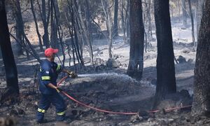 Το Newsbomb.gr στη μεγάλη φωτιά στο Πόρτο Γερμενό - Συγκλονιστικές εικόνες και βίντεο