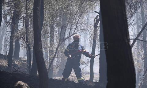 Φωτιά τώρα στο Πόρτο Γερμενό: Μαίνεται η μεγάλη πυρκαγιά -Προσπάθεια να μην επεκταθεί προς Αλεποχώρι