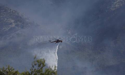 Φωτιά τώρα: Μικρή πτώση των ανέμων στο Πόρτο Γερμενό – Καίγεται παρθένο πευκοδάσος