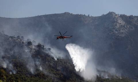 Έκτακτη ενημέρωση από την Πυροσβεστική: 65 δασικές πυρκαγιές το τελευταίο 24ωρο