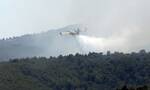 Ηλεία: Μαίνεται η φωτιά σε δασική έκταση στην Κορυφή - Ξεκίνησαν να επιχειρούν τα εναέρια μέσα