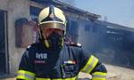 Συγκινητική φωτογραφία από τη φωτιά στο Σχηματάρι: Ρουμάνος πυροσβέστης αγκαλιά με πρόβατο που έσωσε